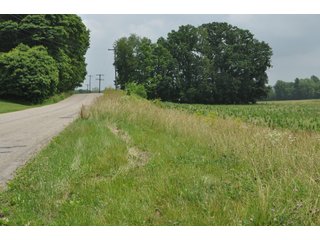 Property photo 1 - Excellent Tillable and Recreational Land